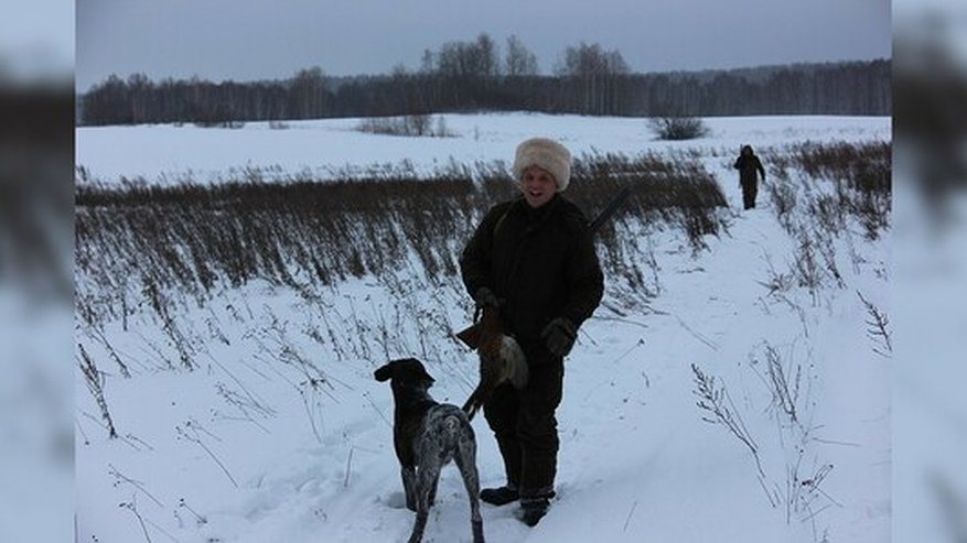 Главная картинка новости: Как в Свердловской области охотятся на фазанов