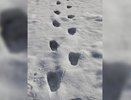 В Серове полицейские нашли подозреваемого в грабеже и разбое по его следам на снегу, фото