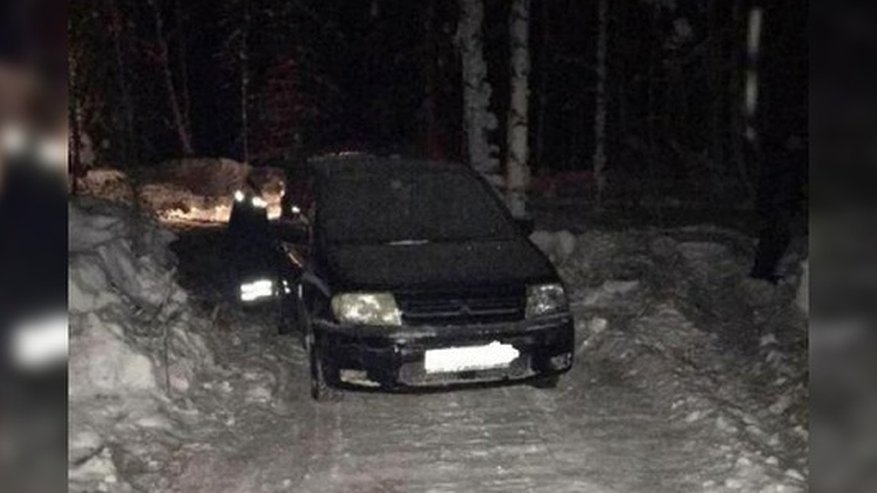 Главная картинка новости: Свердловчанин погиб под колесами своей машины, которой управлял его пьяный друг