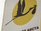 Рядом с роддомом в Екатеринбурге появилась «парковка для аистов»
