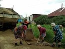 В Свердловской области пенсионерки вынуждены самостоятельно чинить дороги