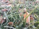 Прогноз погоды в Екатеринбурге с 25 по 29 сентября
