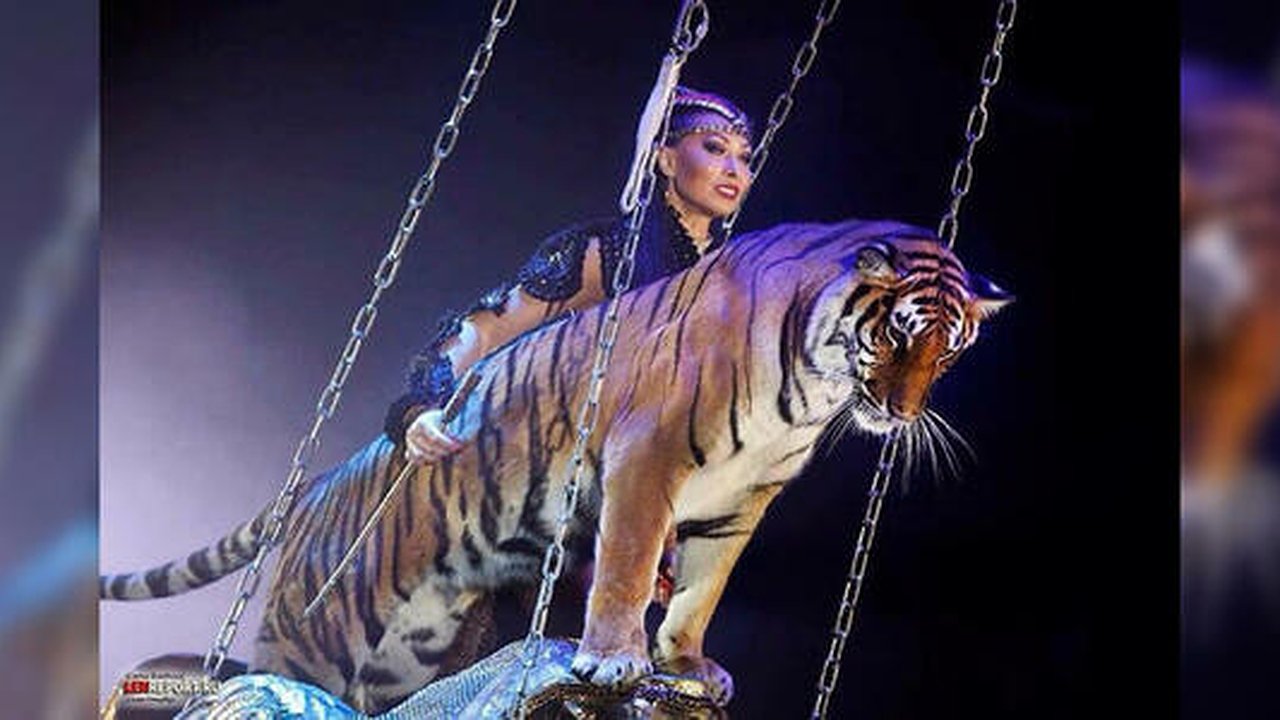 Главная картинка новости: Выходные для отважных в Екатеринбурге с 28 по 29 октября: запретная «Матильда», Ночь киноужасов и львы с тиграми