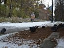В Свердловской области резко похолодает