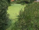 Свердловское предприятие сбрасывало сточные воды в реки Тагил и Шайтанка