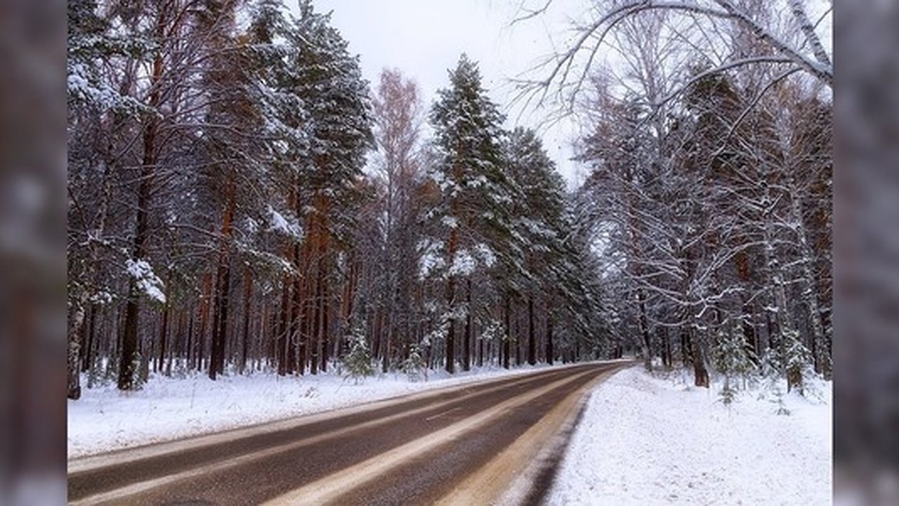 Главная картинка новости: Возьмите канистры с топливом и аптечку: уральцам рассказали, как готовиться к зимним поездкам