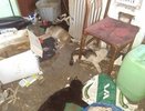 Хозяйка «черной передержки» в Екатеринбурге избежала наказания
