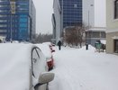 Парковку на газонах в Екатеринбурге запретили снова: гордума хочет наказывать «гряземесов» по закону