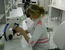 В Свердловской области зафиксирована вспышка свиного и гонконгского гриппа