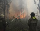 В Свердловской области рядом с поселками загорелись леса