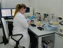 В Свердловской области снизилось количество наркозависимых людей