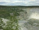 На окраине Екатеринбурга завод забетонировал рощу