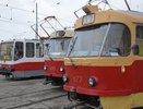 В Екатеринбурге с начала ЧМ в общественном транспорте бесплатно прокатились больше 60 тысяч человек