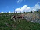 Евгений Марков из Нижнего Тагила в четвертый раз выиграл гонку на Конжаке