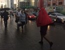 В МЧС предупредили уральцев о штормовом ветре и ливне