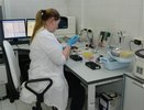 Из-за жаркой погоды в Свердловской области распространился вирус Коксаки
