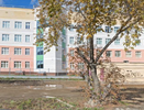 Еще в одной школе Екатеринбурга зарегистрировали вирусный менингит