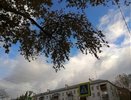 К середине недели в Екатеринбурге станет теплее