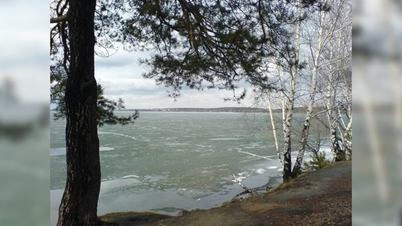 Главная картинка новости: Проект строительства велодорожек в Шарташском парке отправили на доработку