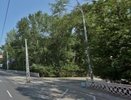 В Екатеринбурге аллею на Белинского назовут в честь поэта Ильи Кормильцева, который писал тексты для группы «Наутилус Помпилиус»
