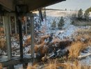 На Урале автомобиль вылетел с моста: один пассажир погиб, двое пострадали