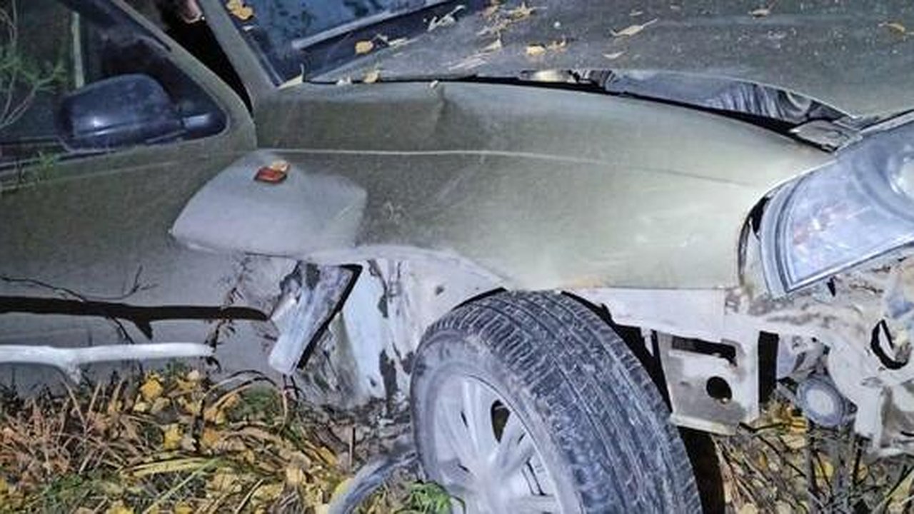 Главная картинка новости: Под Екатеринбургом водитель чуть не погиб в ДТП с лосем