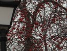 У "Гринвича" за 16 миллионов построят еще один вход в дендрарий