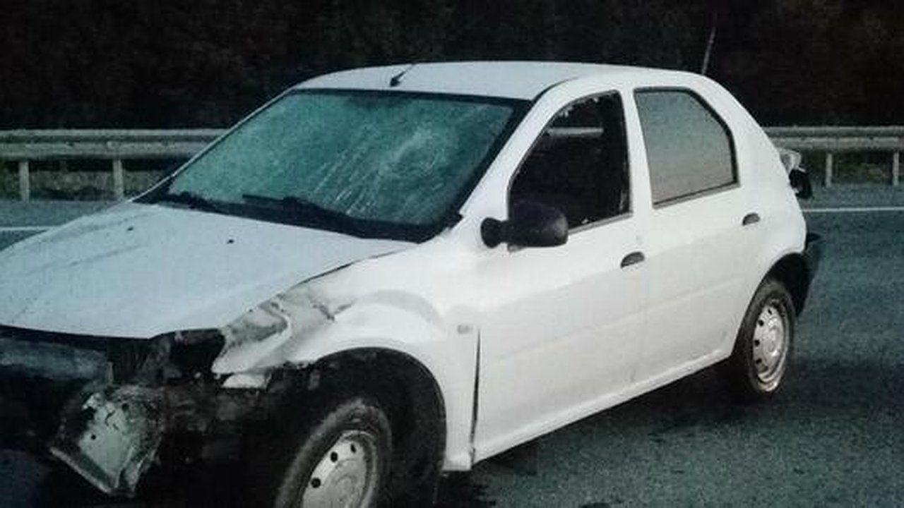 Главная картинка новости: В Екатеринбурге парочка во время ночной поездки врезалась в ограждение