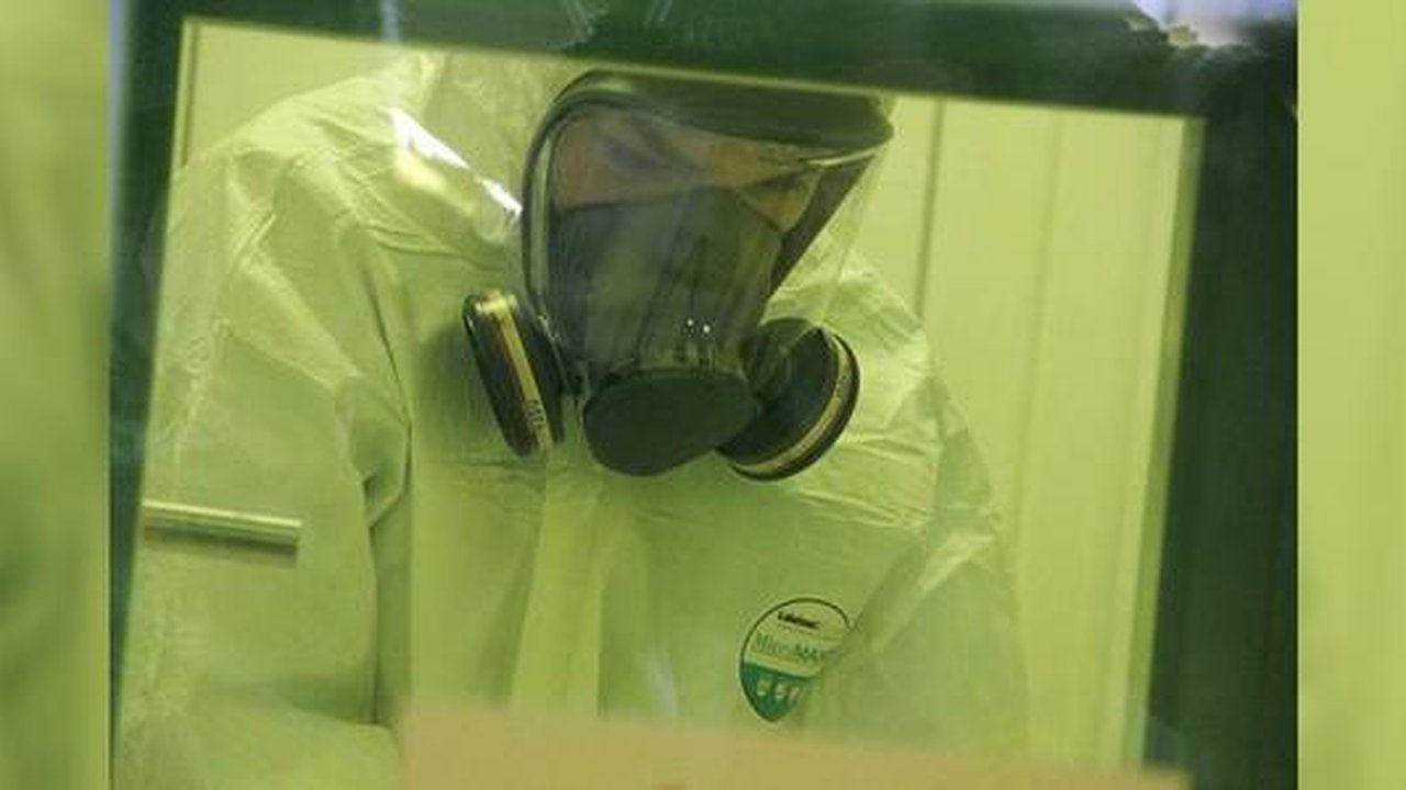 Главная картинка новости: "Попытайтесь выслушать": свердловские психиатры о том, как привести в чувство паникующих из-за пандемии