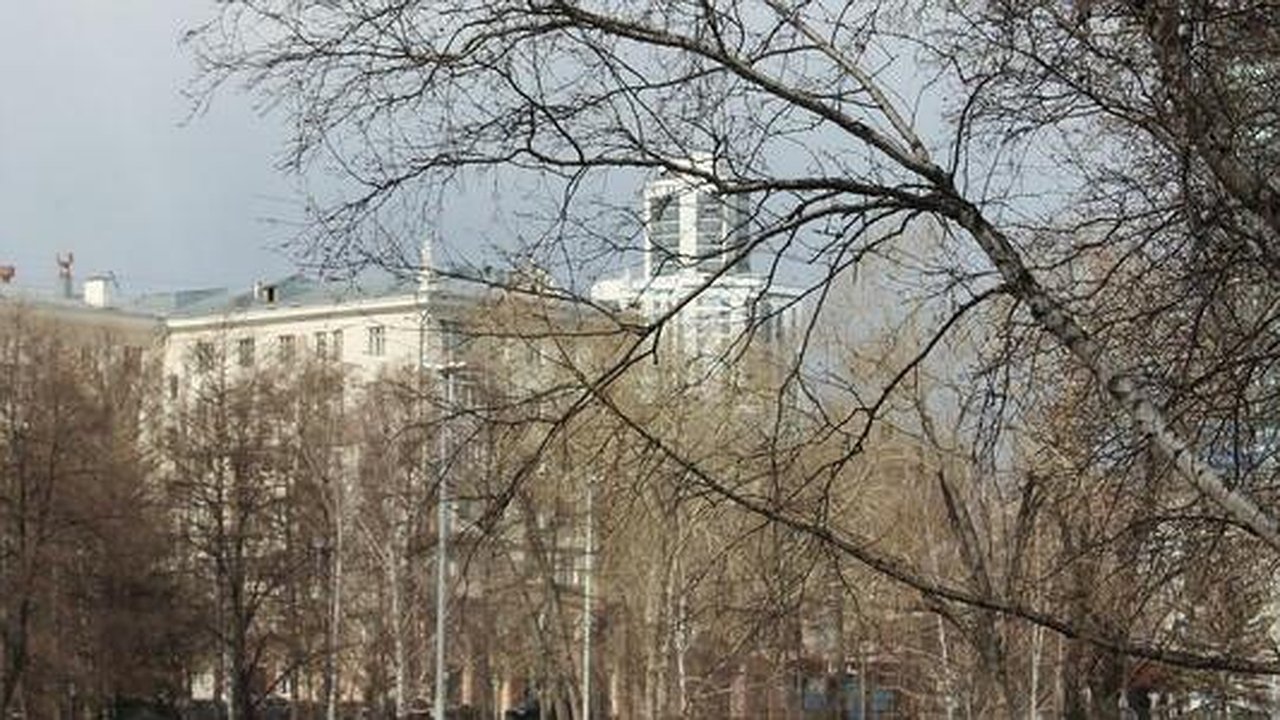 Главная картинка новости: «Выбери жизнь»: антинаркотический месячник стартует в Екатеринбурге