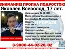 В Екатеринбурге c 24 декабря ищут сбежавшего 17-летнего подростка