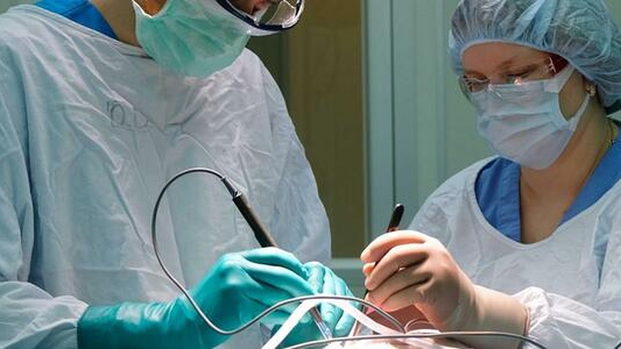 Главная картинка новости: Свердловские онкологи вернули пациентке возможность ходить