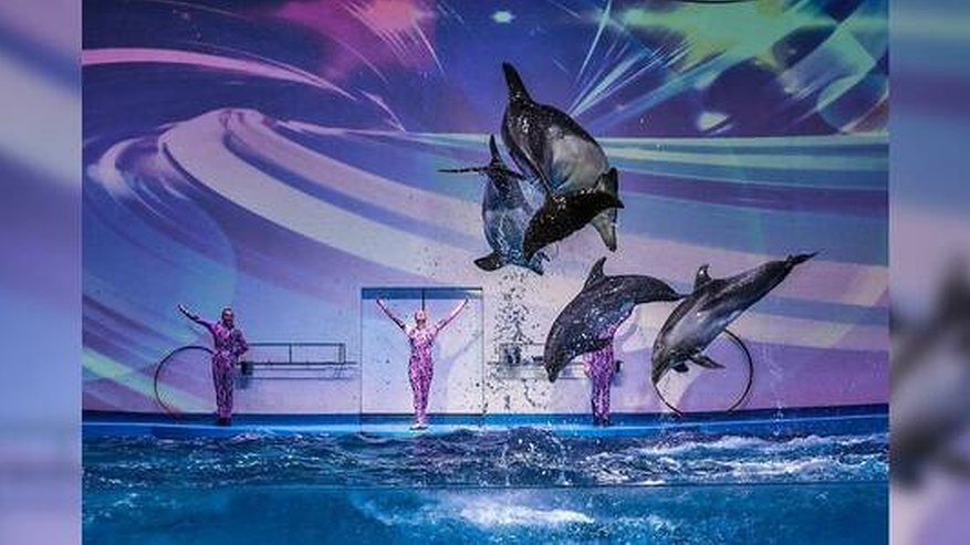 Главная картинка новости: НАША афиша: гуляем в парке, смотрим на животных, читаем книги дома