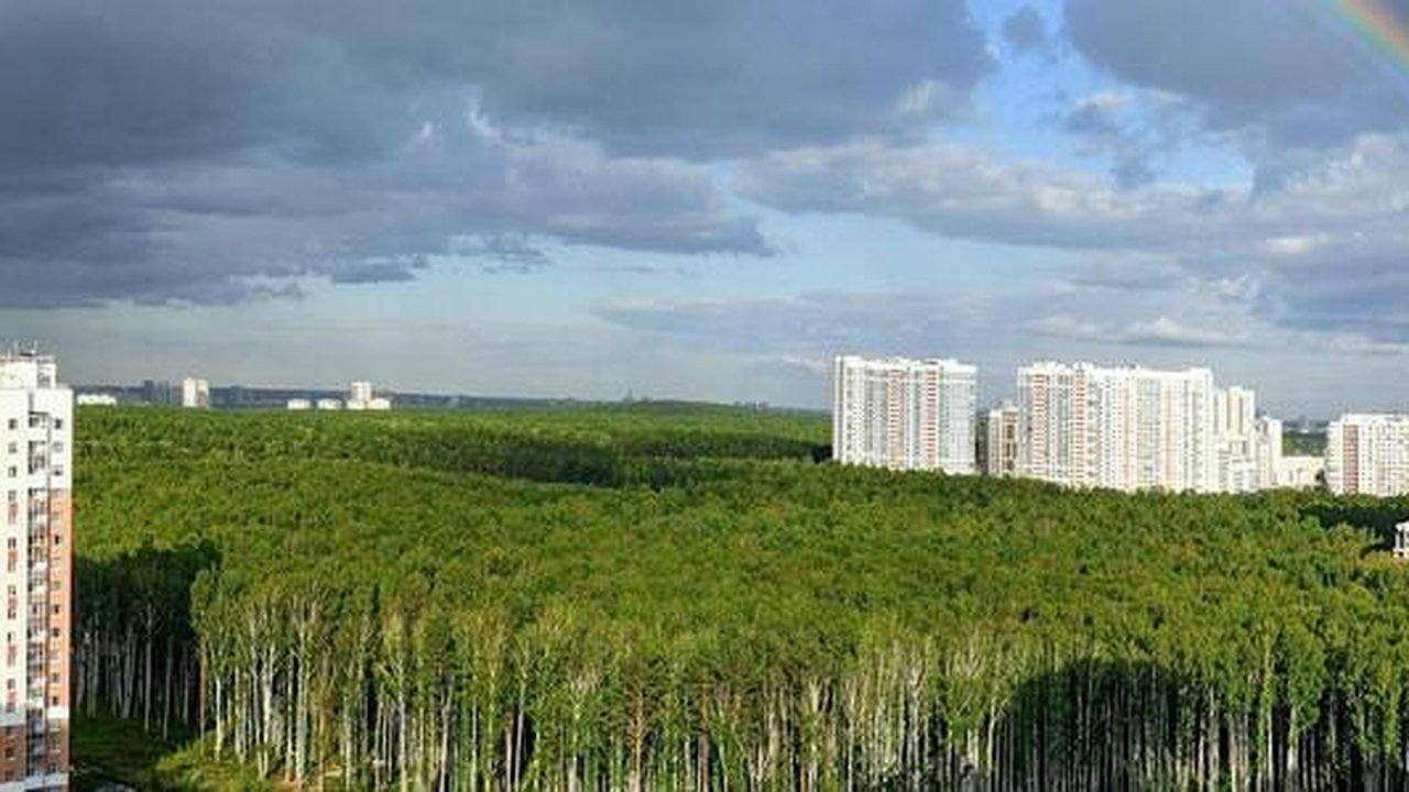 Главная картинка новости: В Екатеринбурге жители Академического просят мэра и губернатора спасти парк