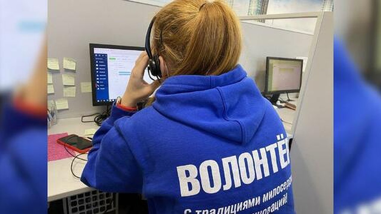 Главная картинка новости: Купить продукты и сделать QR-код: куда обратиться за волонтерской помощью?