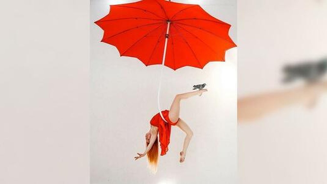 Главная картинка новости: Танцующая с голубем. Гимнастка из Екатеринбурга спасла раненую птицу