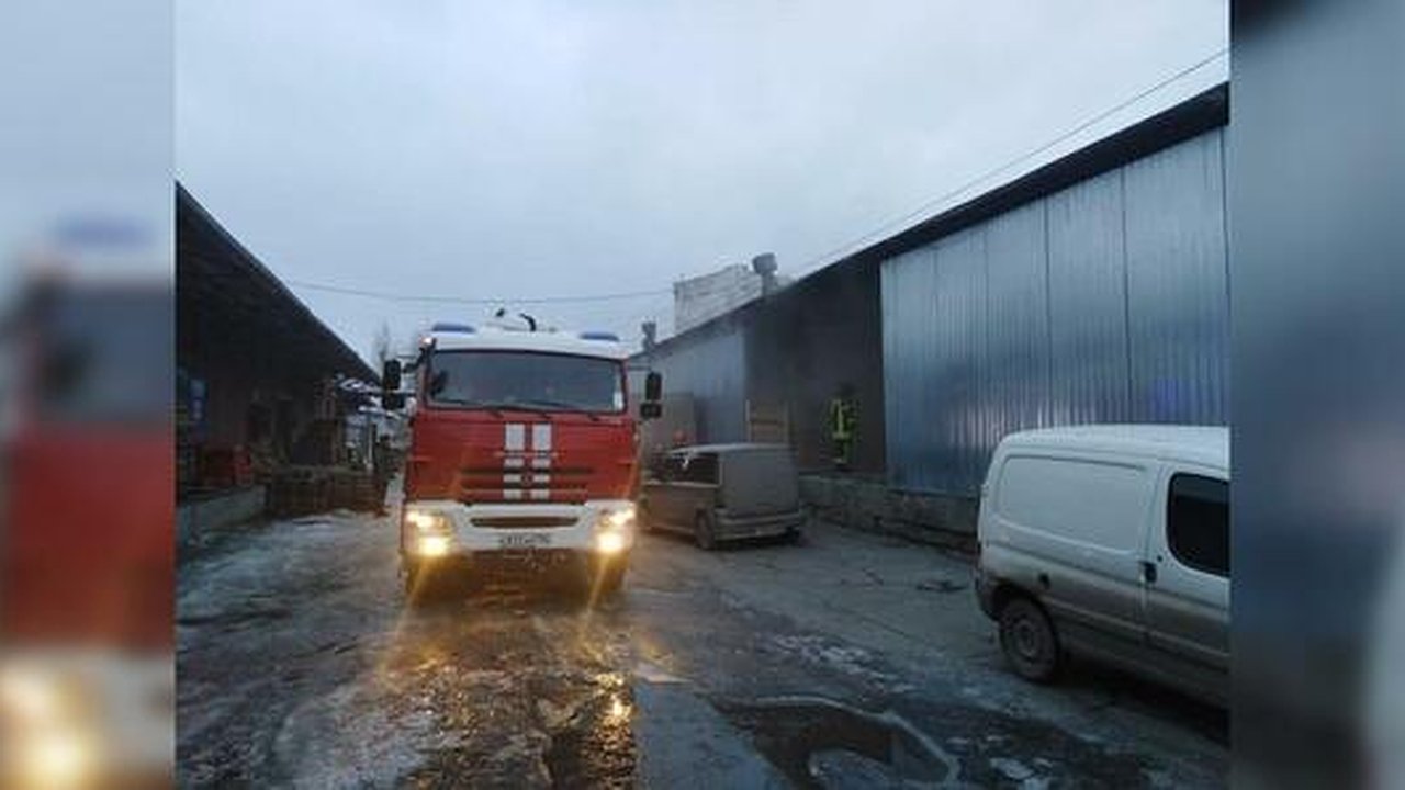 Главная картинка новости: В Екатеринбурге вместе с сотней животных сгорел подпольный террариум