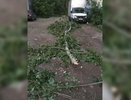 В МЧС разослали СМС со штормовым предупреждением в Свердловской области