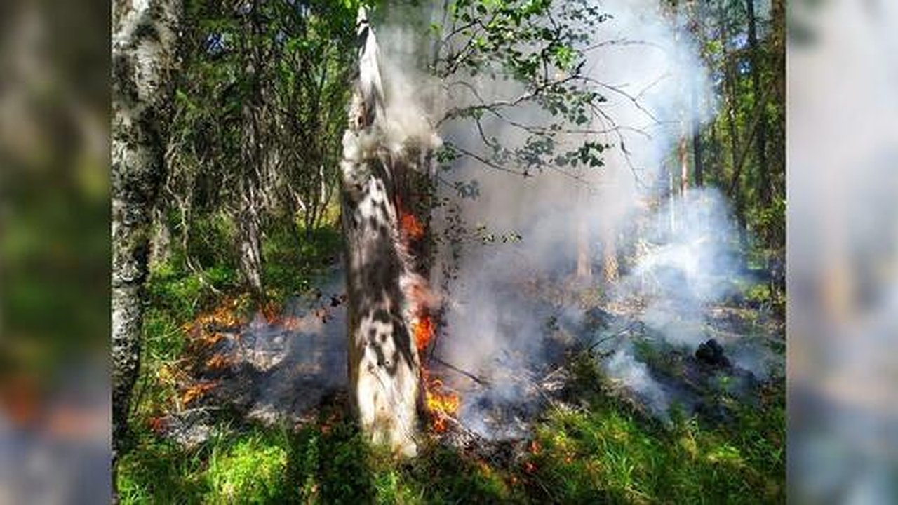 Главная картинка новости: Площадь пожара в заповеднике "Денежкин камень" выросла в 10 раз
