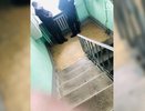 В Екатеринбурге обнаружили пролежавший месяц труп 45-летнего мужчины