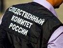 Избивала девочку несколько лет: уральские следователи возбудили дело против женщины-опекуна
