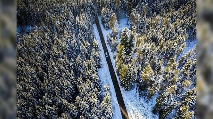 Главная картинка новости: В Свердловской области на 30% сократилось количество пропавших людей