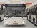 В Верхнюю Пышму прибыли новые автобусы 