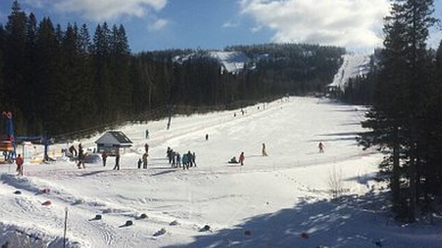 Главная картинка новости: По снежным склонам: где можно покататься на лыжах в Свердловской области 