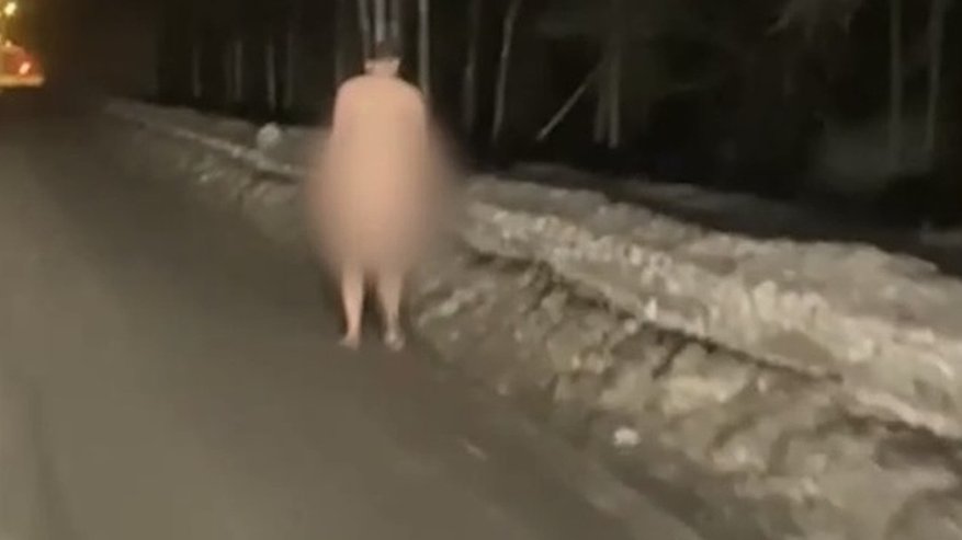 Абсолютно голый мужчина разгуливает по дорогам Екатеринбурга