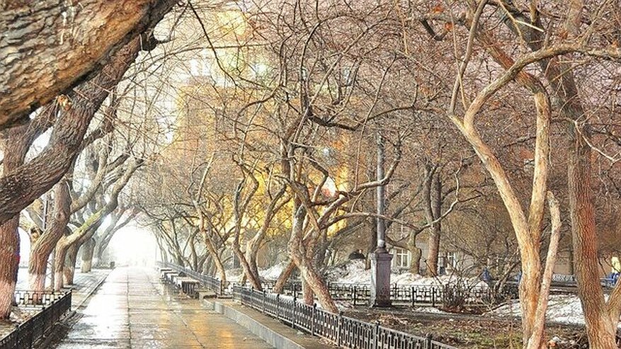 Главная картинка новости: Убирайте пуховики: в Свердловской области рекордно потеплеет