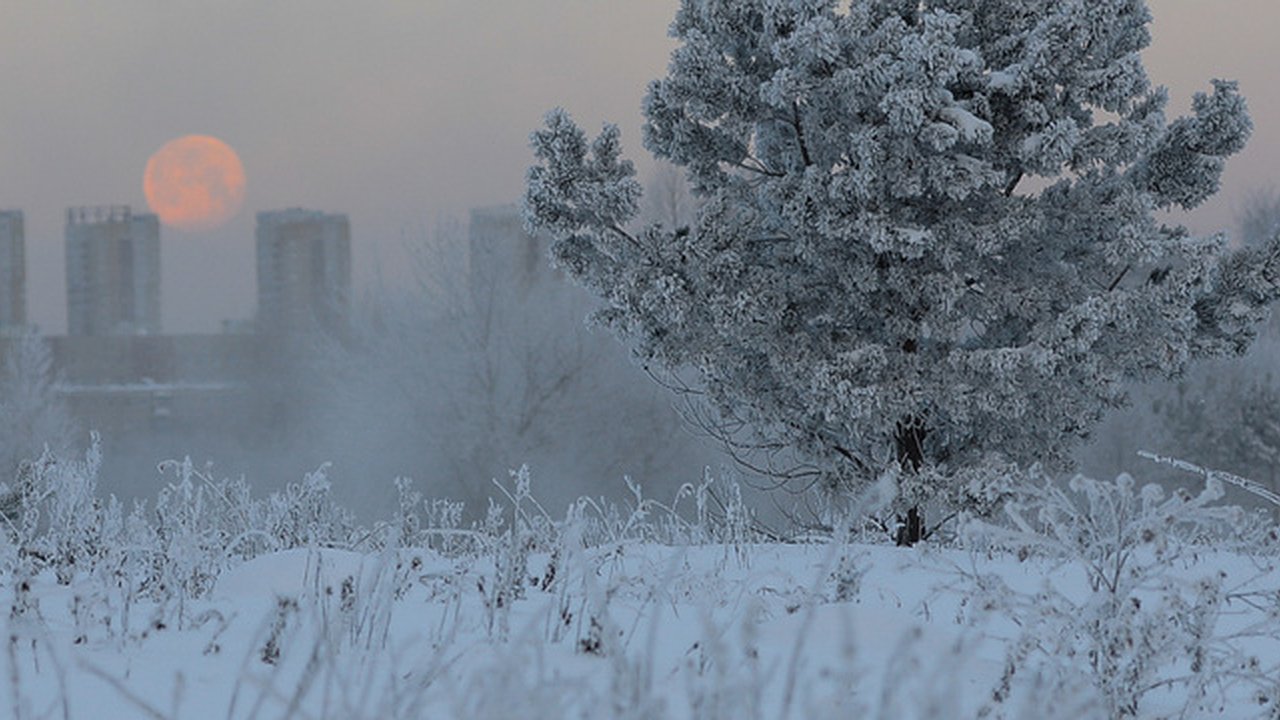 Главная картинка новости: Надвигается непогода: сильные морозы атакуют Свердловскую область