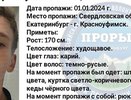 Пропал неделю назад: в Свердловской области ищут подростка