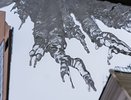 Ещё одно испытание: мощный мороз со снегопадом надвигается на Свердловскую область