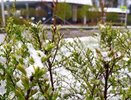 Пять дней снега: неутешительный прогноз на начало мая дали свердловские синоптики 